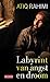 Labyrint van angst en droom