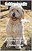 Goldendoodle: A Complete Gu...