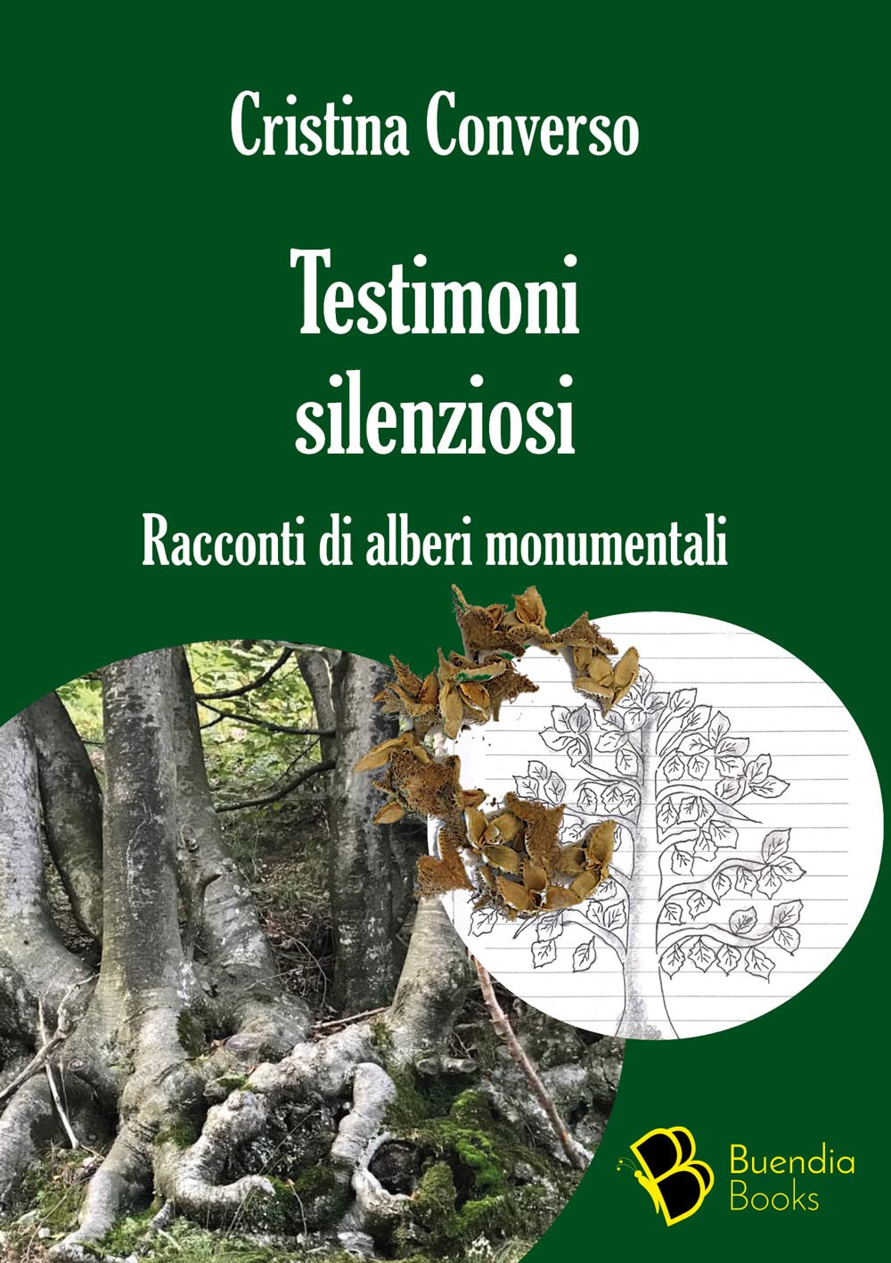 Testimoni silenziosi: Storie di alberi monumentali