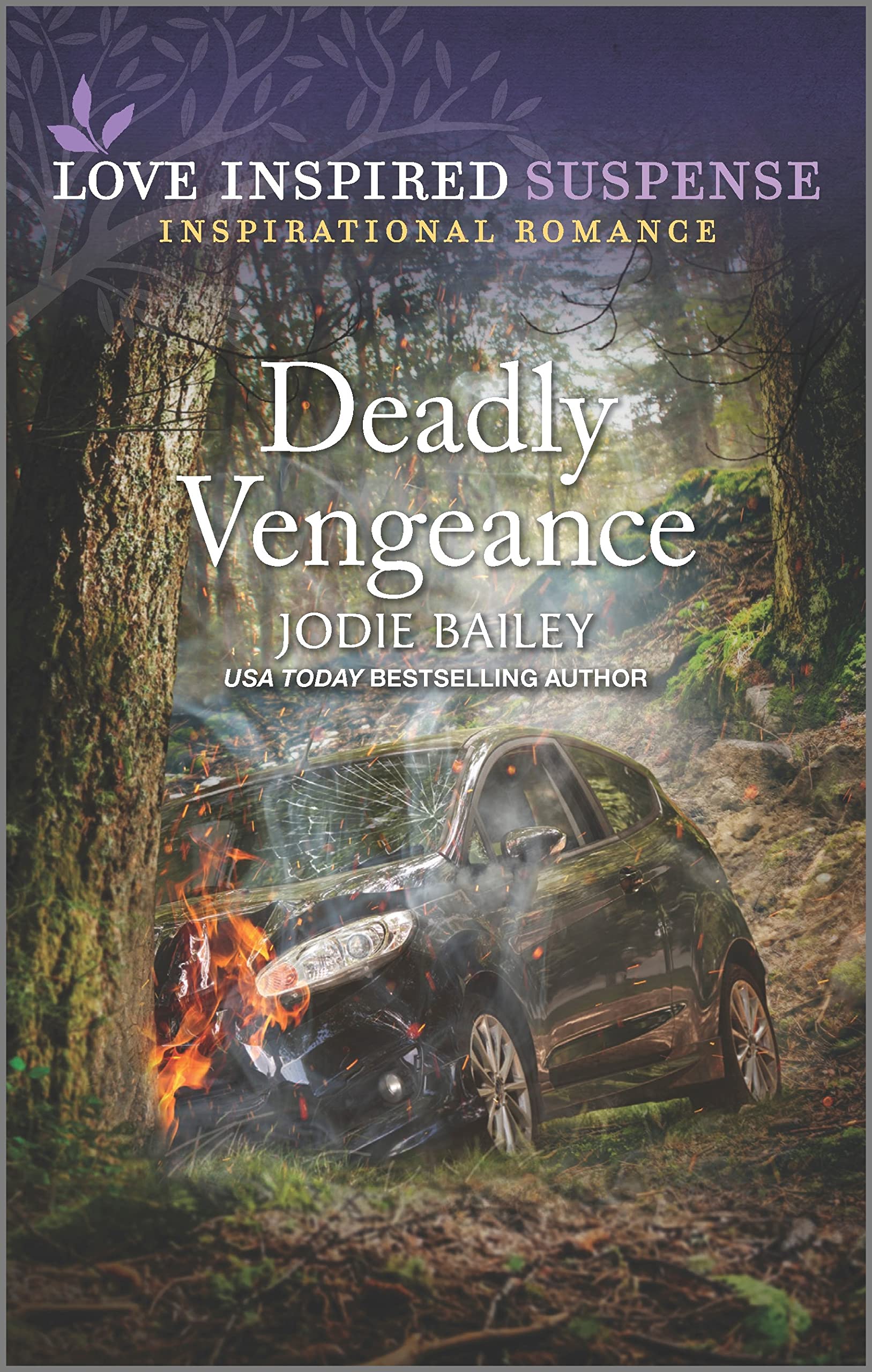 Deadly Vengeance: A Christian Stolen Identity Inspirational Suspense Romance (Kindle Edition)