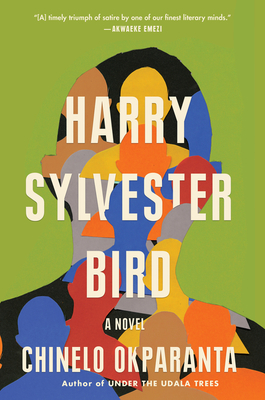 Harry Sylvester Bird: A Darkly Funny Coming-of-Age Satire of White Guilt, Race, and Identity