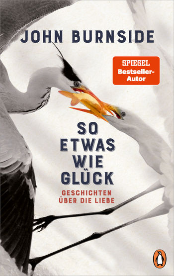So etwas wie Glück. Geschichten über die Liebe (Hardcover)