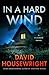 In a Hard Wind (Mac McKenzie #20)