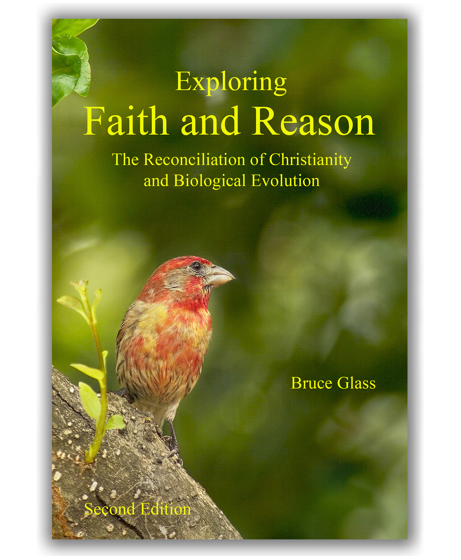 Exploring Faith and Reason: The Reconciliation of Christianity and Biological Evolution
