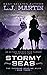Stormy Seas: A YA Coming-of...