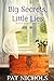 Big Secrets, Little Lies (B...