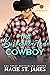 The Brokenhearted Cowboy (Cupid Ridge Dude Ranch #2) by Macie St. James