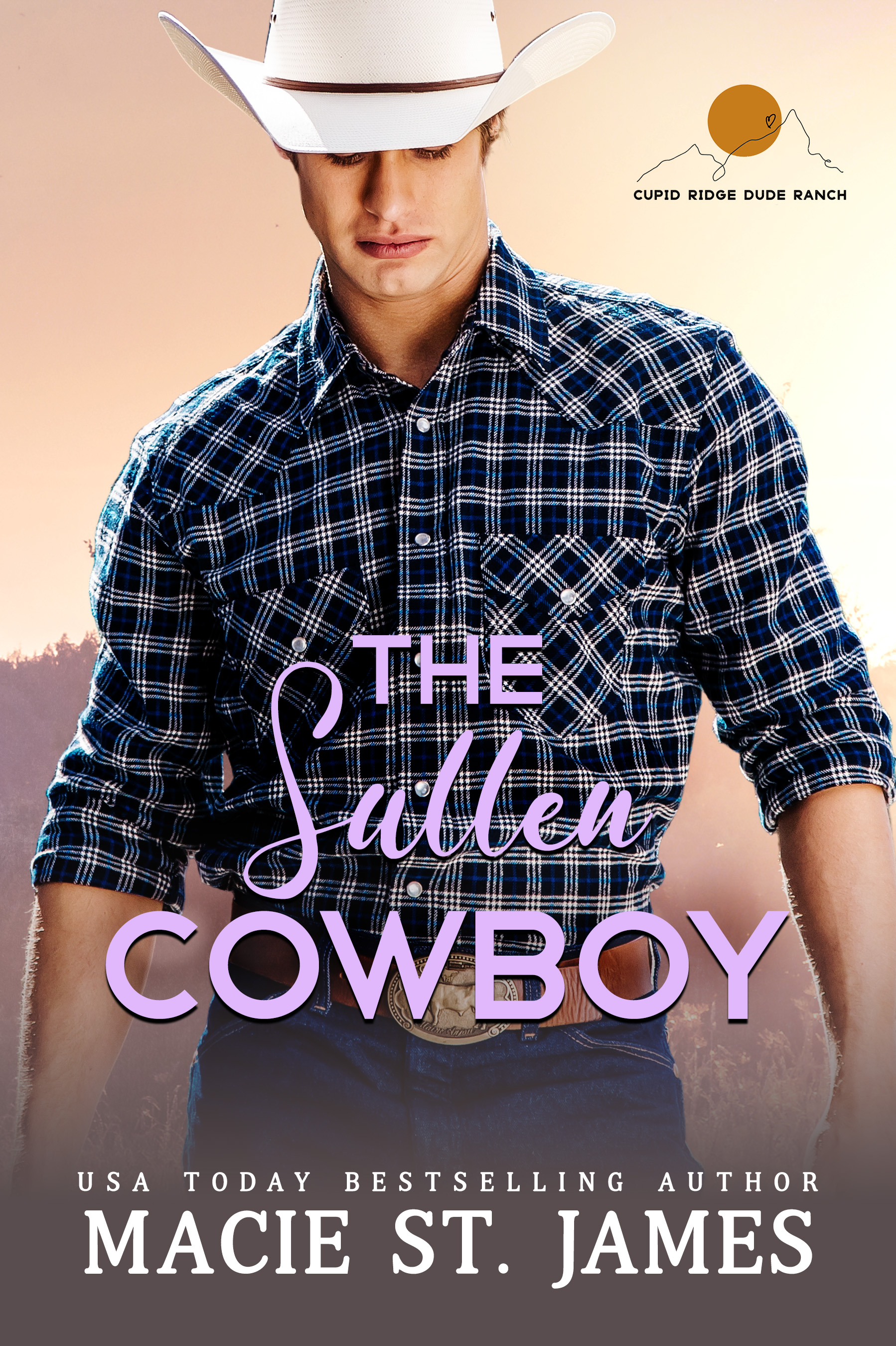 The Sullen Cowboy (Cupid Ridge Dude Ranch #4)