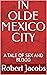 IN OLDE MEXICO CITY by Robert Jacobs