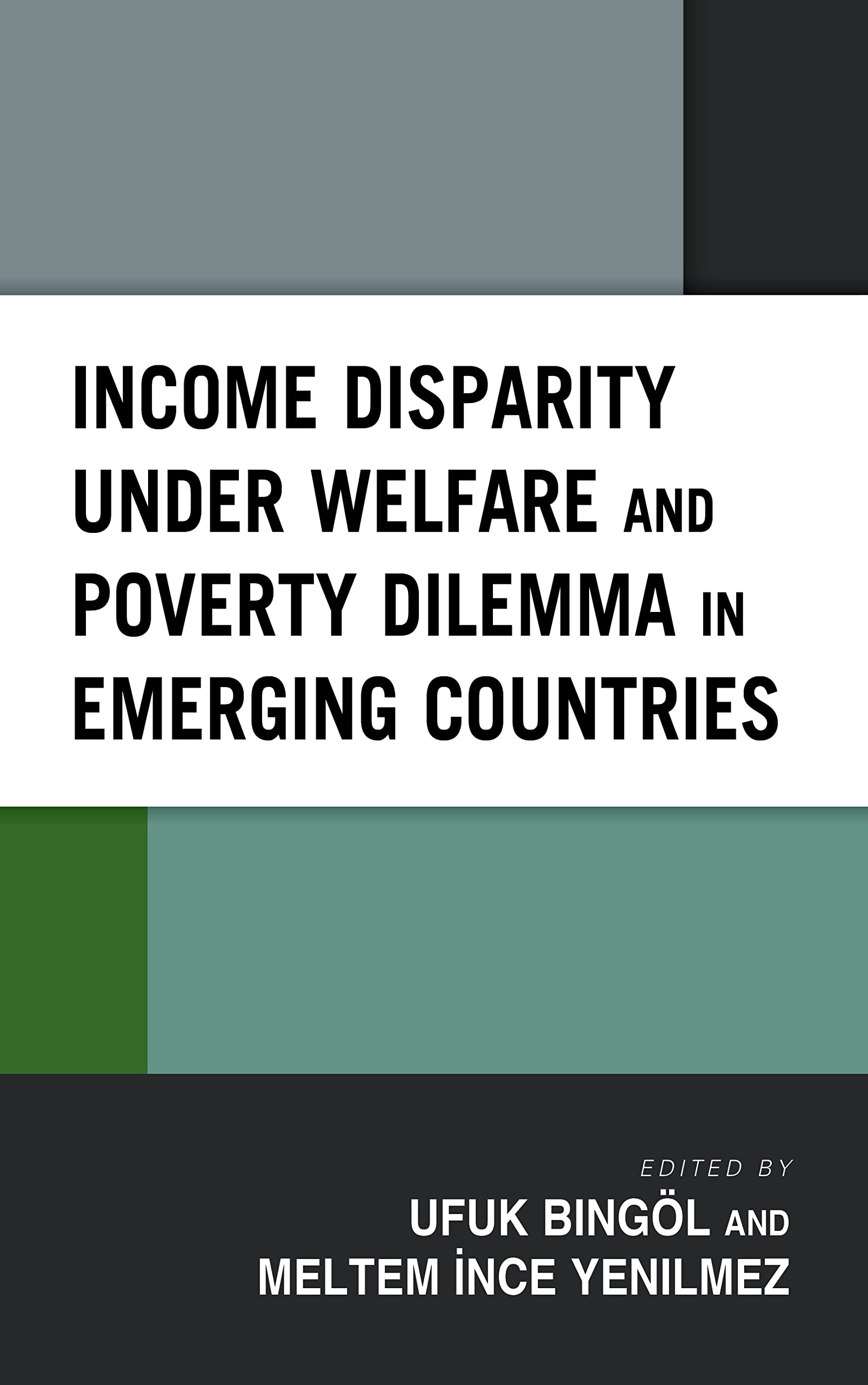 Income Disparity under Welfare and Poverty Dilemma in Emerging Countries (Hardcover)