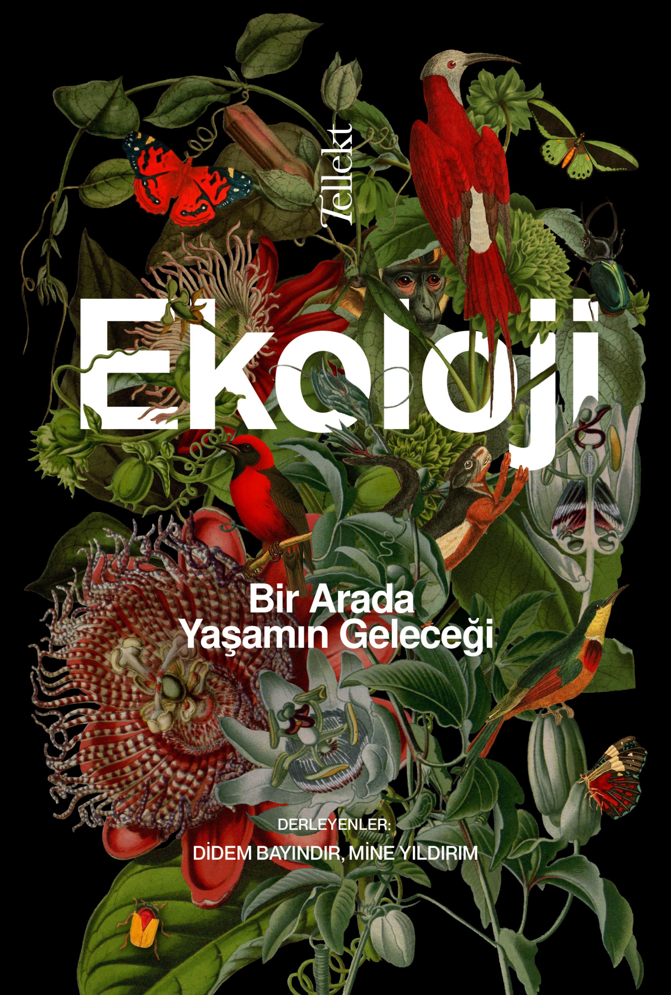 Ekoloji: Bir Arada Yaşamın Geleceği (Paperback)
