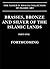 Brasses, Bronze and Silver of the Islamic Lands: v. xi (Nasser D.Khalili Collection of Islamic Art)