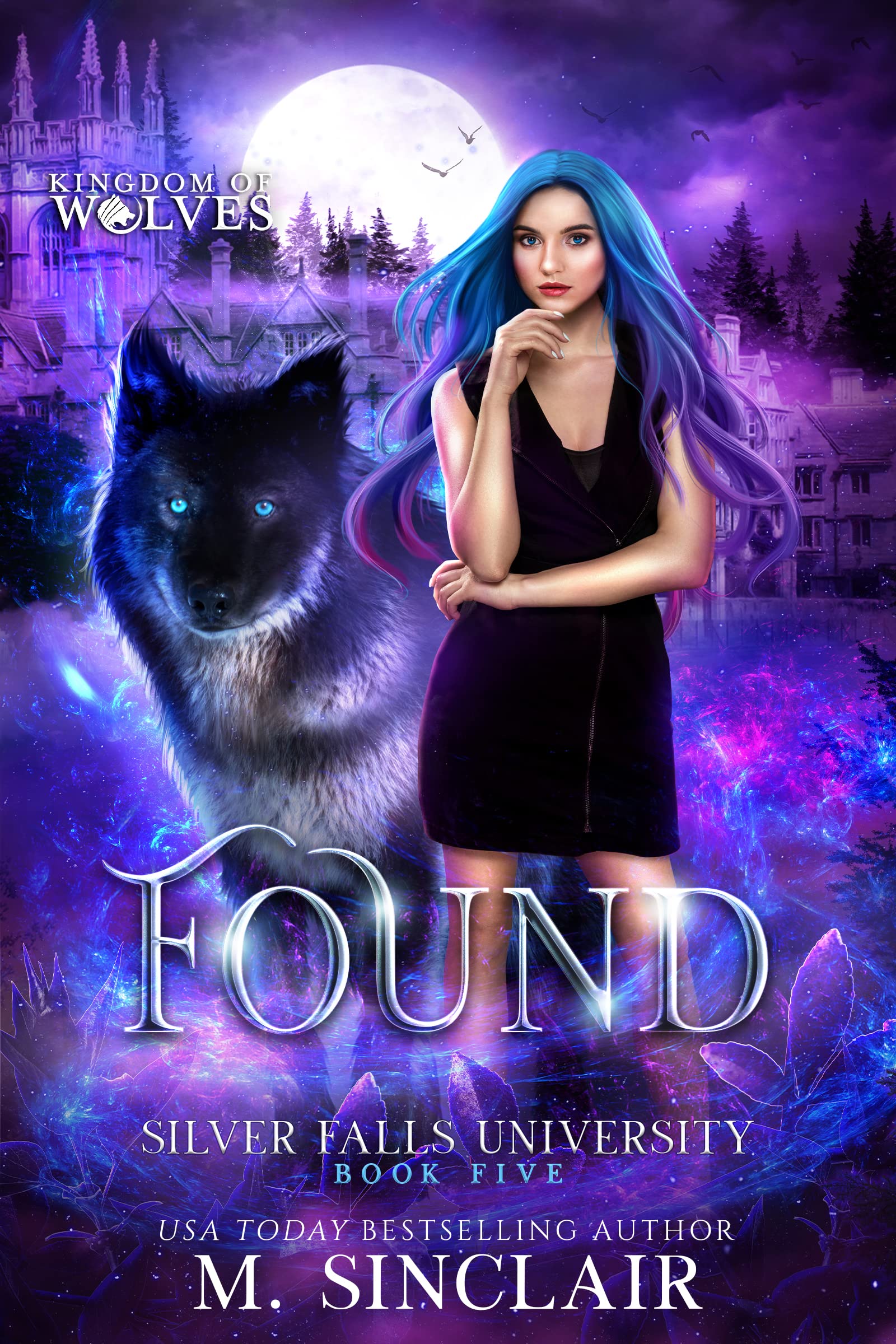 Found (Silver Falls University, #5)