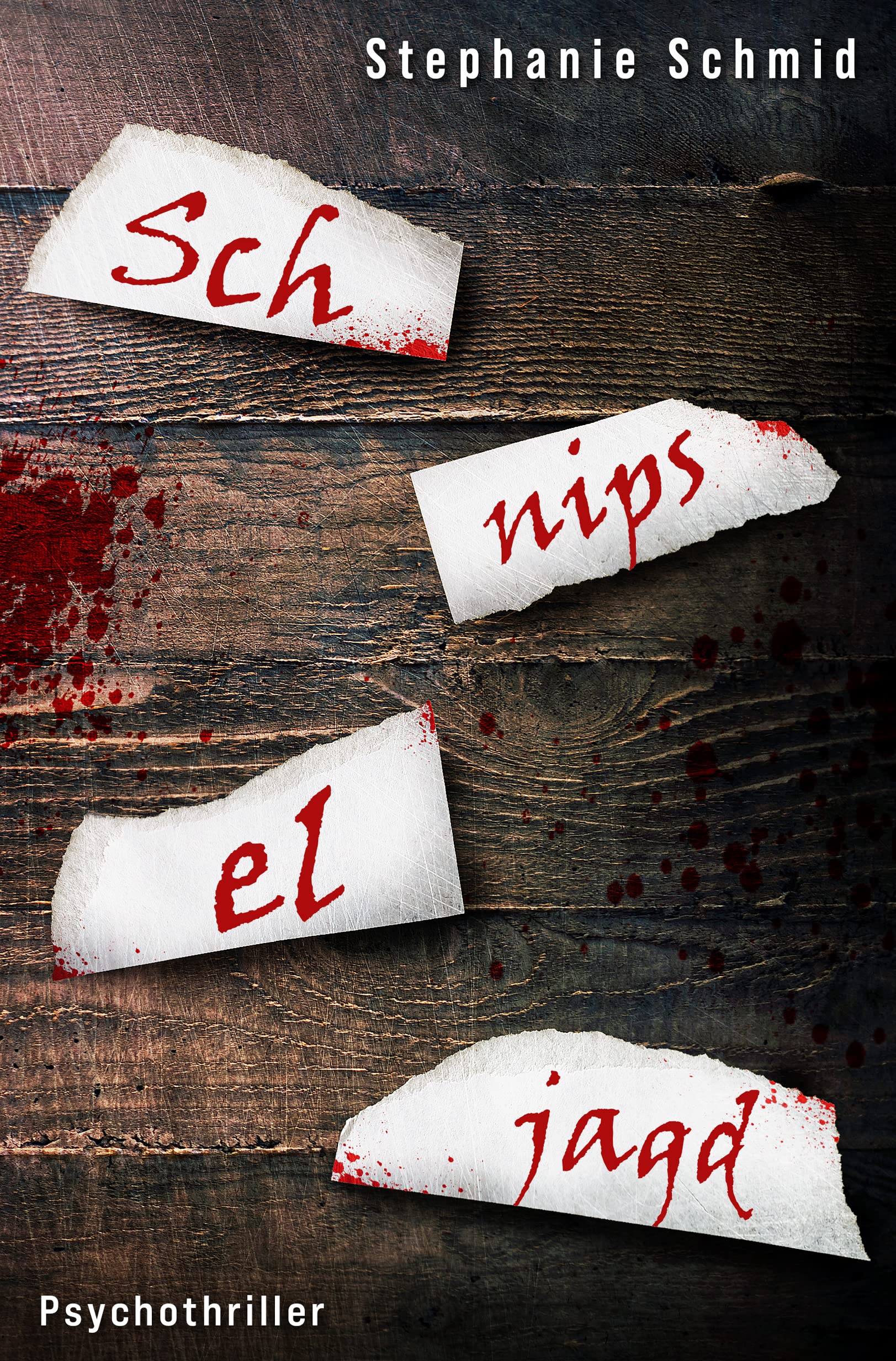 Schnipseljagd (German Edition)