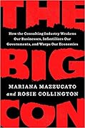 The Big Con: How the Consulting Industry Weakens our Businesses, Infantilizes our Governments and Warps our Economies