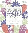 Practical Cactus ...