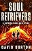 Soul Retrievers
