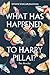 What Has Happened to Harry Pillai? by Shivani Sivagurunathan What Has Happened to Harry Pillai? by Shivani Sivagurunathan