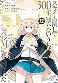 スライム倒して300年、知らないうちにレベルMAXになってました 12