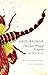 The Open-Winged Scorpion: And Other Stories (The India List)