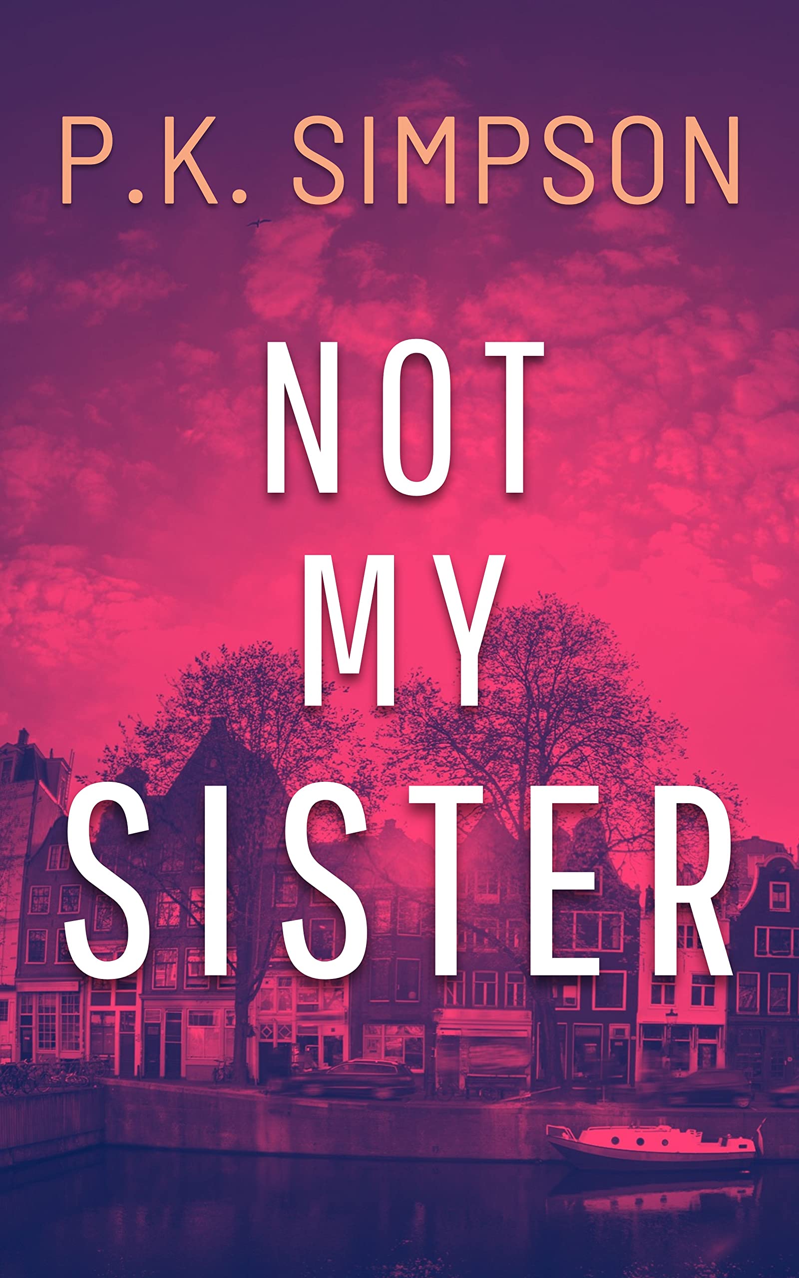 Not My Sister: One woman's search for truth and self. (Kindle Edition)