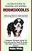 ULTIMATE GUIDE TO TRAINING AND KEEPING BERNEDOODLES by Amber White