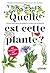 Quelle est cette plante ?