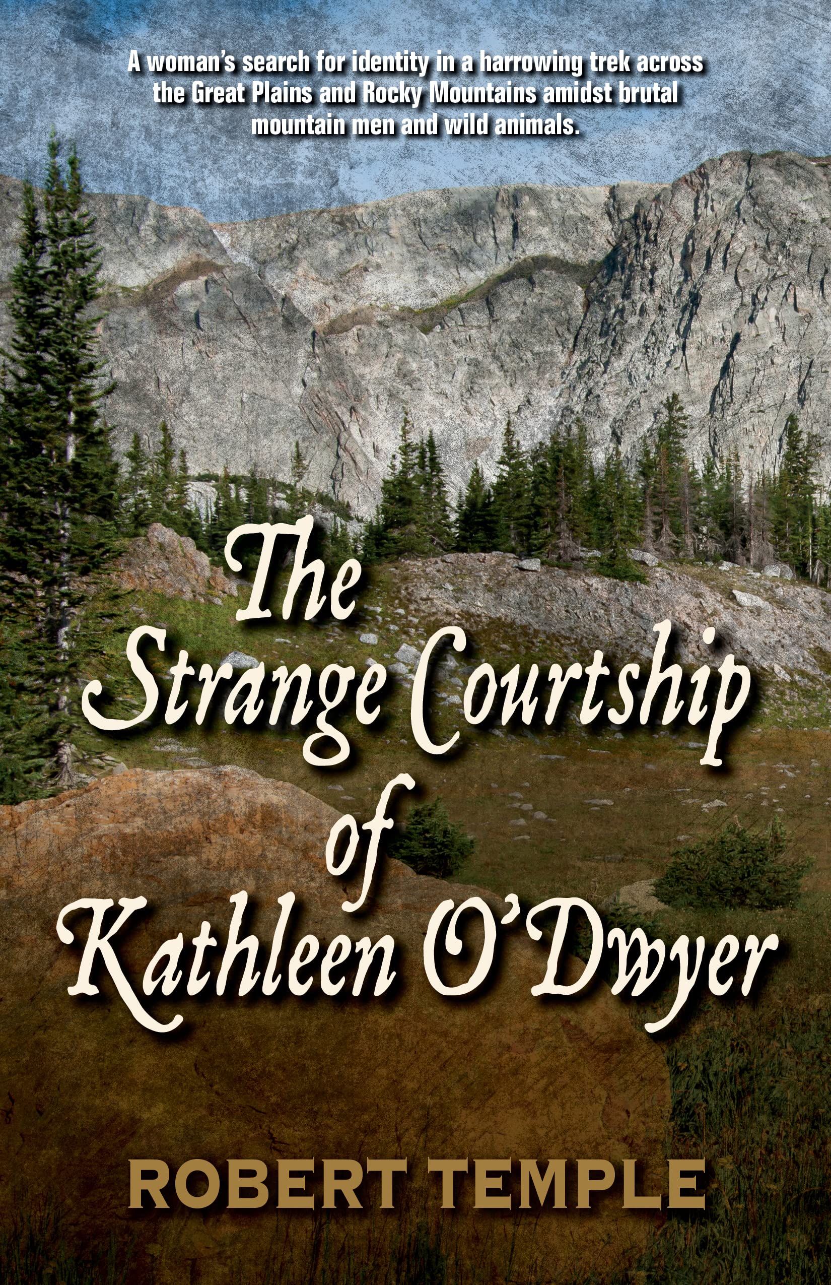 The Strange Courtship of Kathleen O'Dwyer (Hardcover)