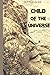 Child of the Universe (Child Of The Universe Series)