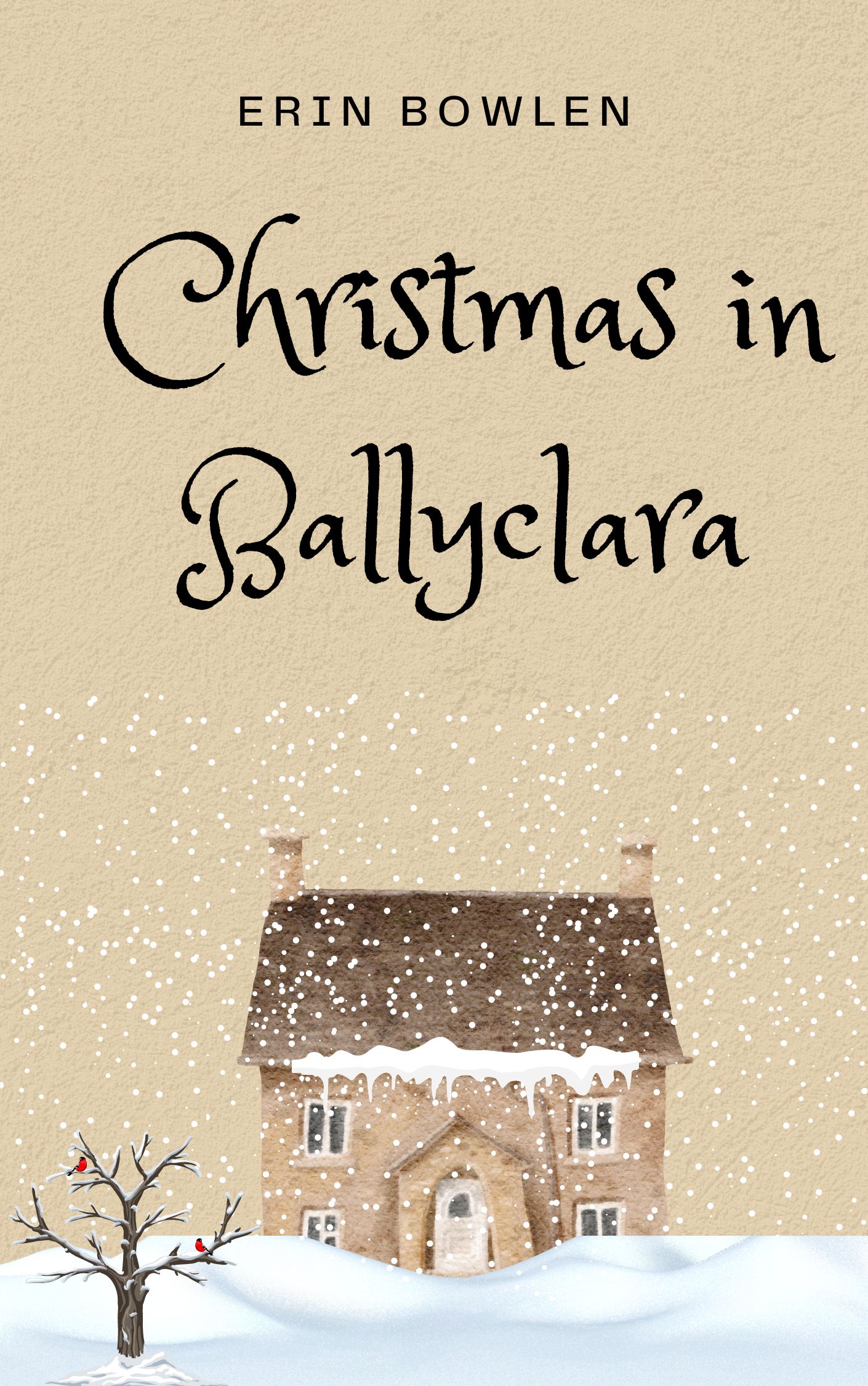 Christmas in Ballyclara