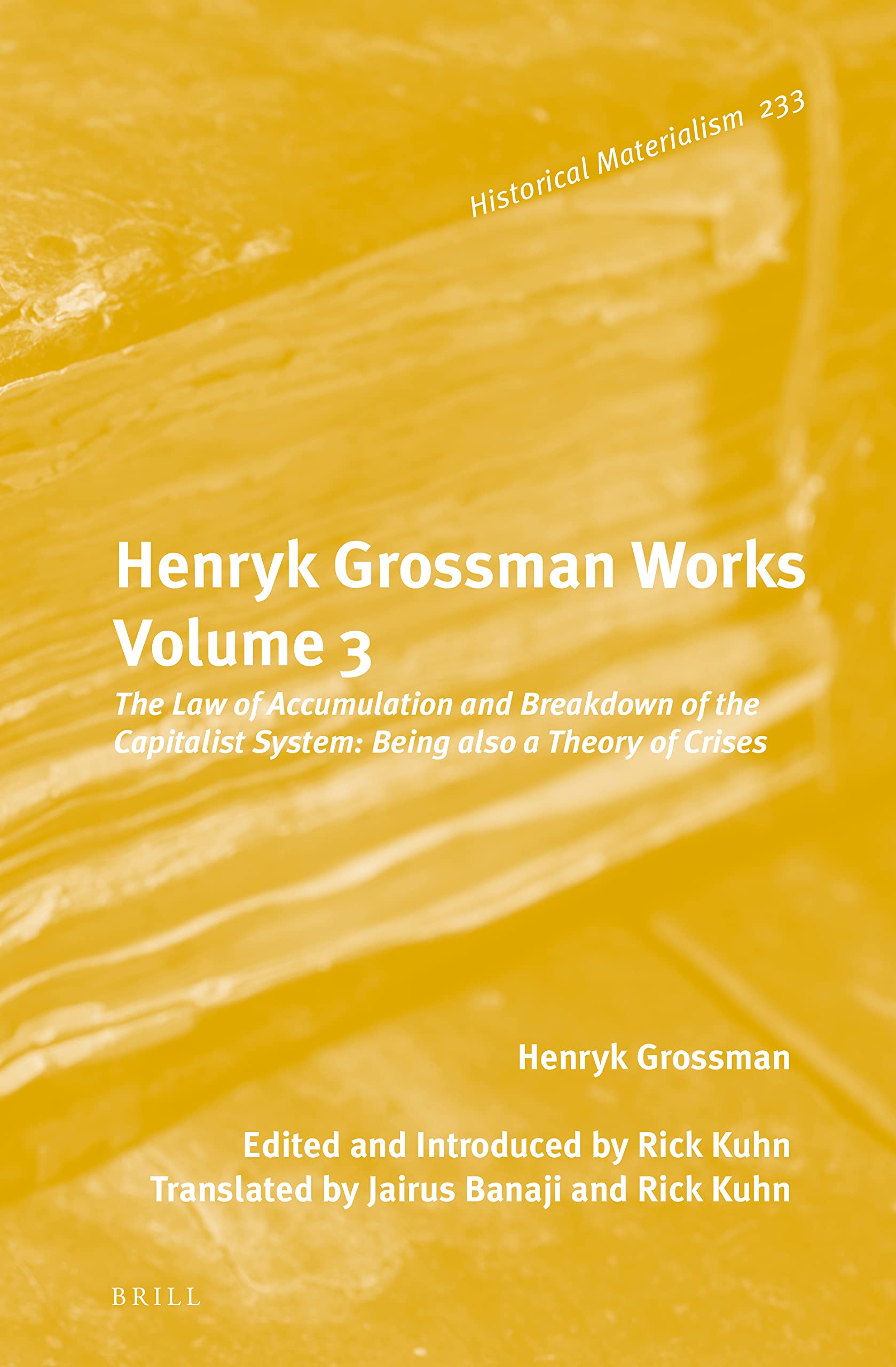 Henryk Grossman Works, Volume 3: The Law of Accumulation and Breakdown of the Capitalist System, Being also a Theory of Crises (Historical Materialism Book Series, 233)