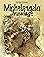 Michelangelo Drawings