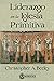 Liderazgo en la Iglesia Primitiva by Christopher A. Beeley