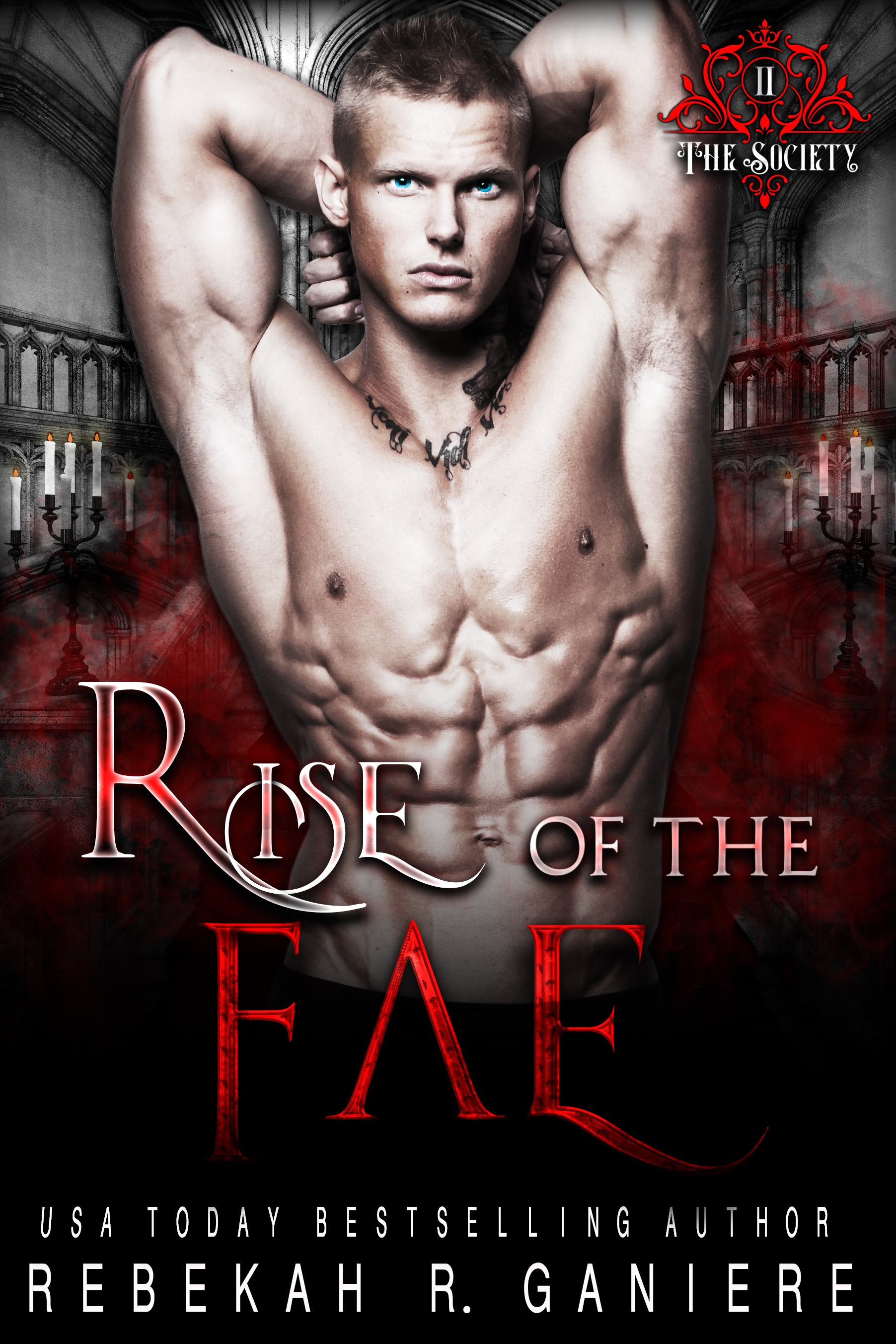 Rise of the Fae (The Society, #2)