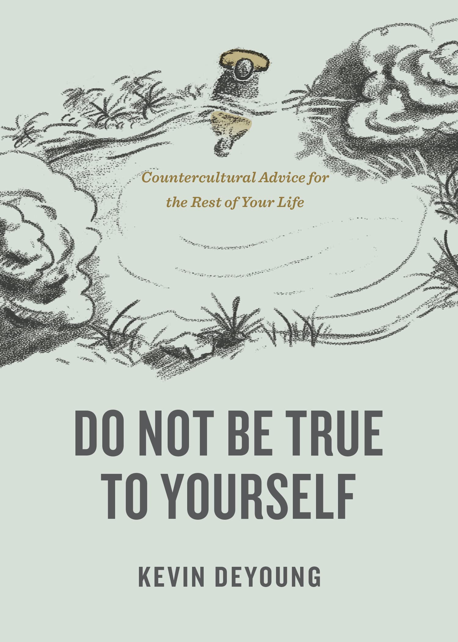 Do Not Be True to Yourself: Countercultural Advice for the Rest of Your Life (Kindle Edition)