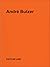 André Butzer: Selected Pres...