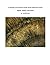 A Geologic and Inclusion Study of the California Coastal Agat... by Donald Kasper