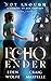 Echo Ender: A Coming of Age Fantasy (Not Enough)