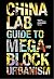 The China Lab Guide to Mega...