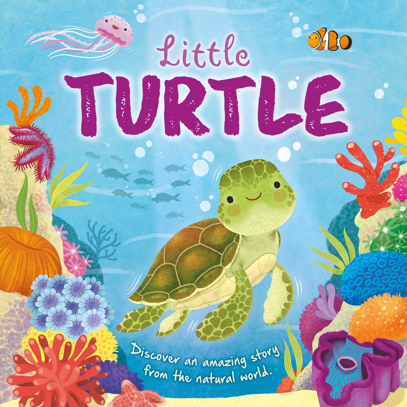 Nature Stories: Little Turtle-Discover an Amazing Story from the Natural World: Padded Board Book (Board Book)