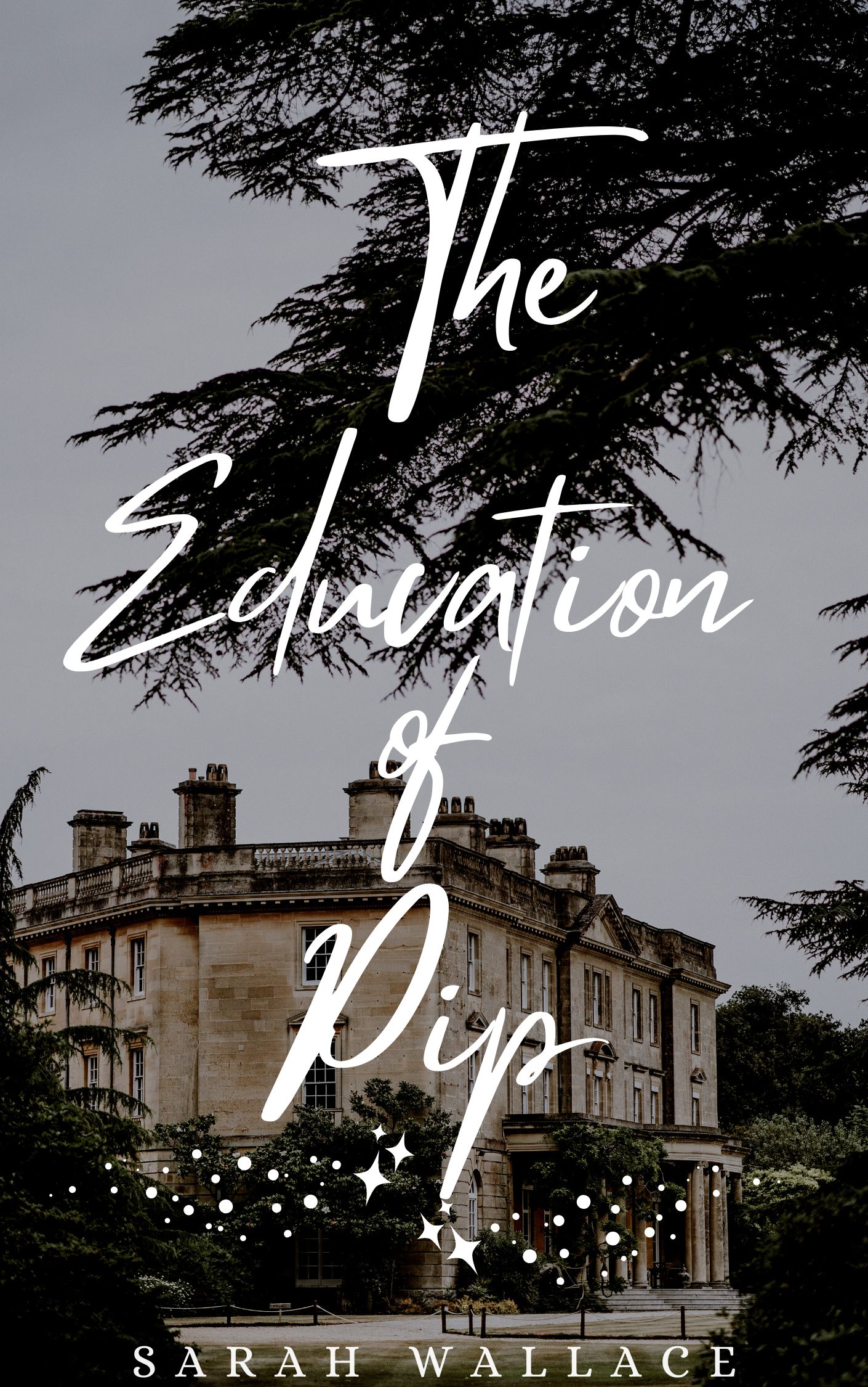 The Education of Pip (Meddle & Mend #3)