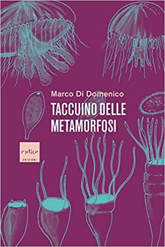 Taccuino delle metamorfosi (Paperback)