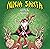 Ninja Santa