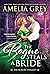 The Rogue Steals a Bride (The Rogues' Dynasty, 6)