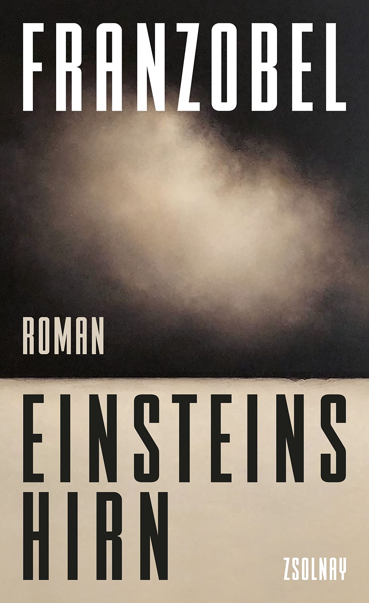 Einsteins Hirn (Kindle Edition)