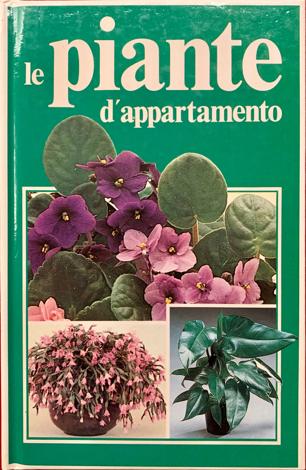 Le piante d'appartamento