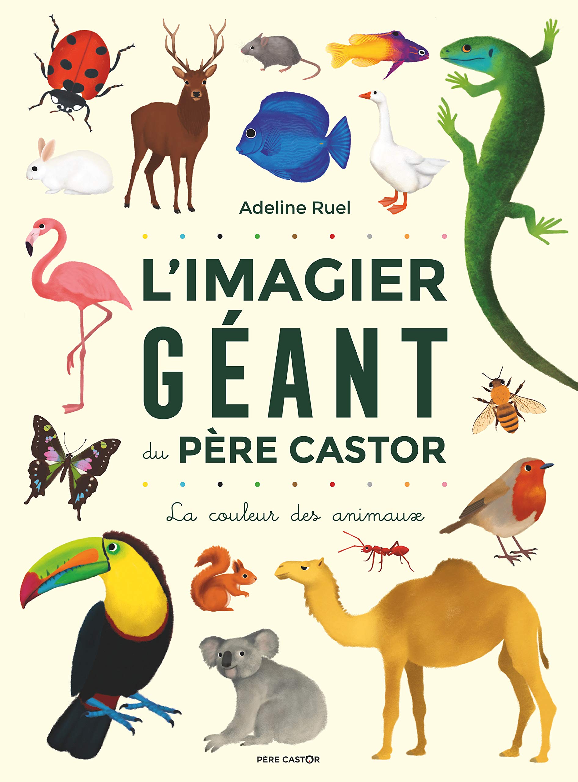 L'Imagier géant du Père Castor - La couleur des animaux (Board Book)