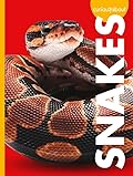 Curious about Snakes