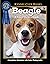 Beagle (CompanionHouse Book...