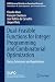 Dual-Feasible Functions for Integer Programming and Combinato... by Claudio Alves